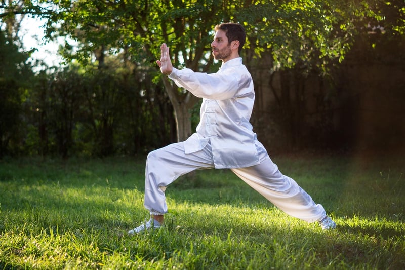 Tai Chi fan